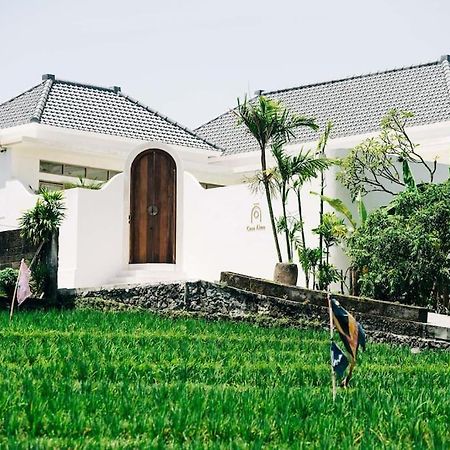 New Design Villa Casa Alma 3Bdr With Private Pool, Canggu Екстериор снимка